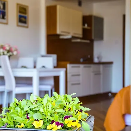 Appartement Przystan Przy Plazy *